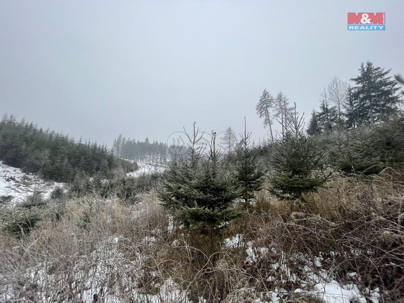 Lesy, Vidochov - Stupná, okres Jičín, Královéhradecký kraj - 2
