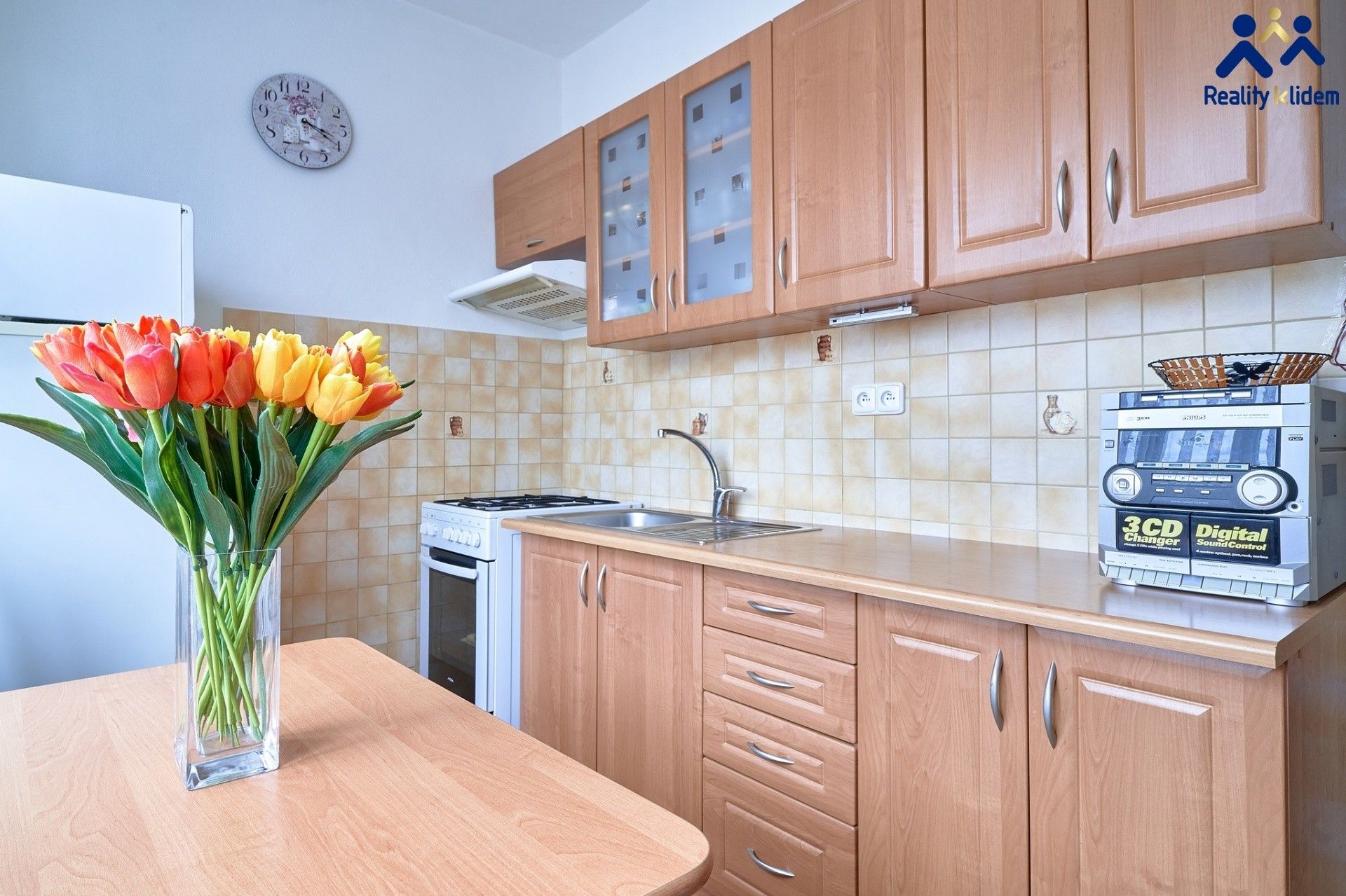 3+1, Puškinova, Vyškov, 73 m²