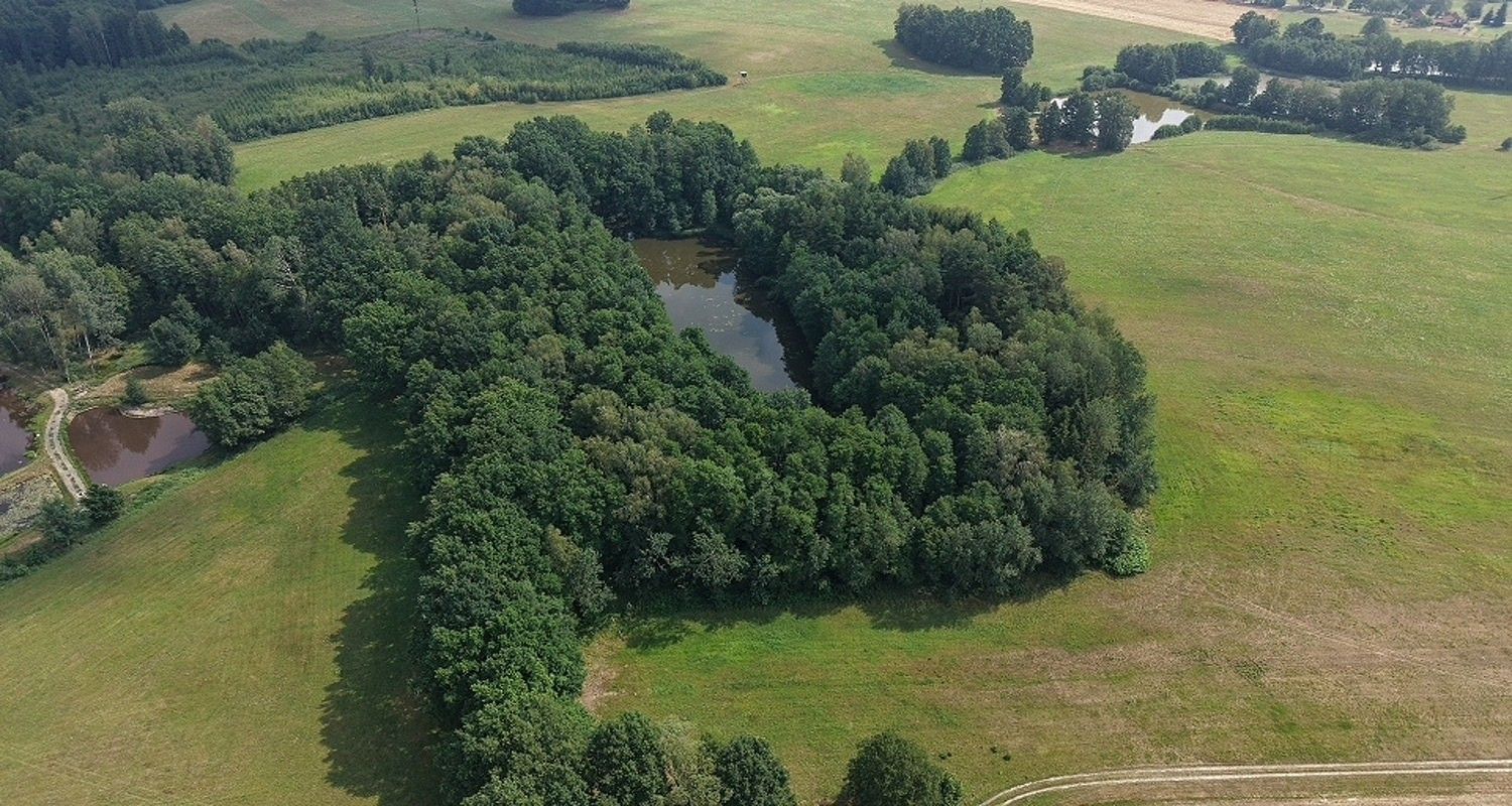 Lesy, Chlum u Třeboně - Žíteč, okres Jindřichův Hradec, Jihočeský kraj - 1