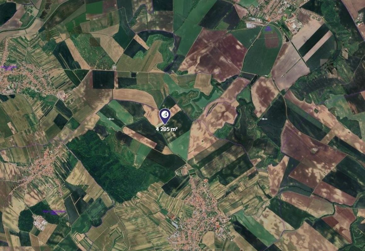 Zemědělské pozemky, Čejkovice, 4 205 m² - 2