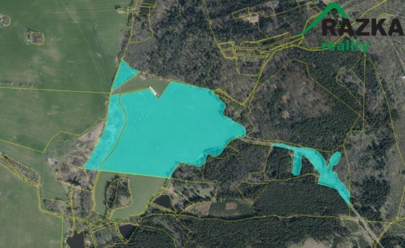Zemědělský pozemek · 645 446 m² · Hošťka - 3