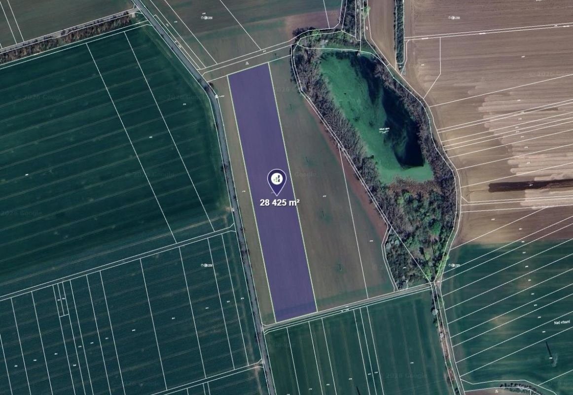 Prodej zemědělský pozemek - Vitčice, 90 994 m²