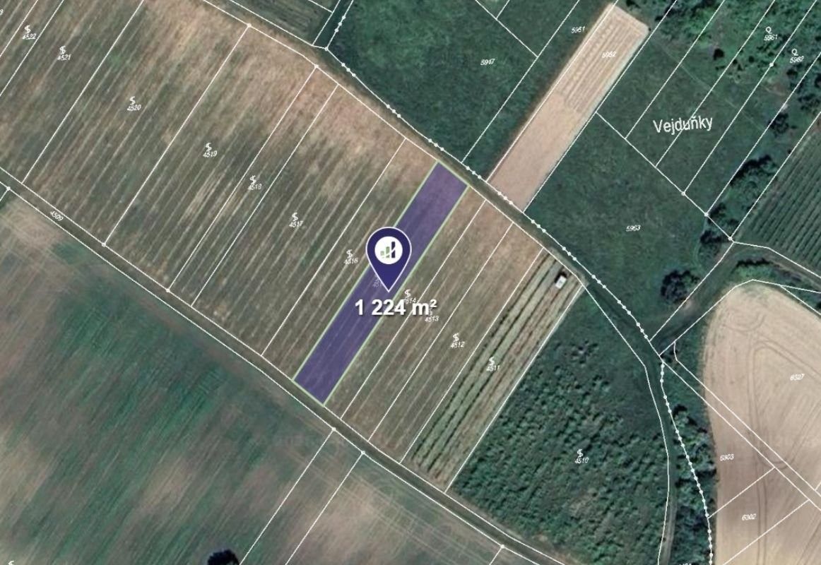 Prodej zemědělský pozemek - Starovičky - 2