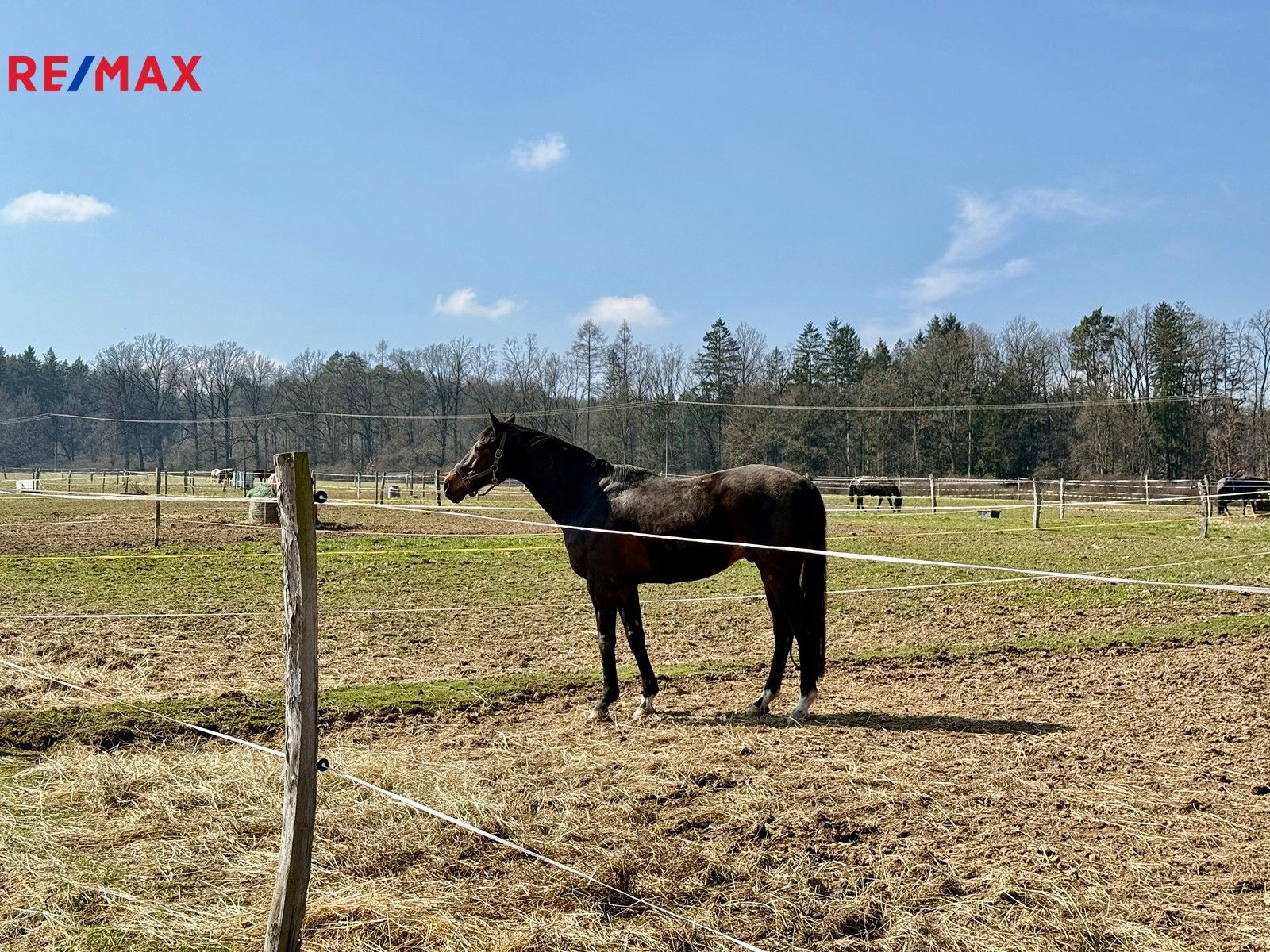 Prodej pozemek - Spálené Poříčí, 166 m²