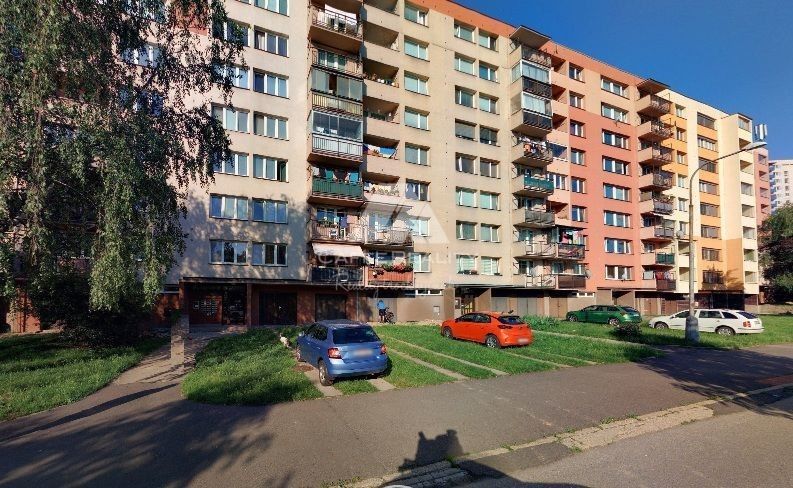 Prodej byt 1+1 - Ostrava, 702 00, 42 m²