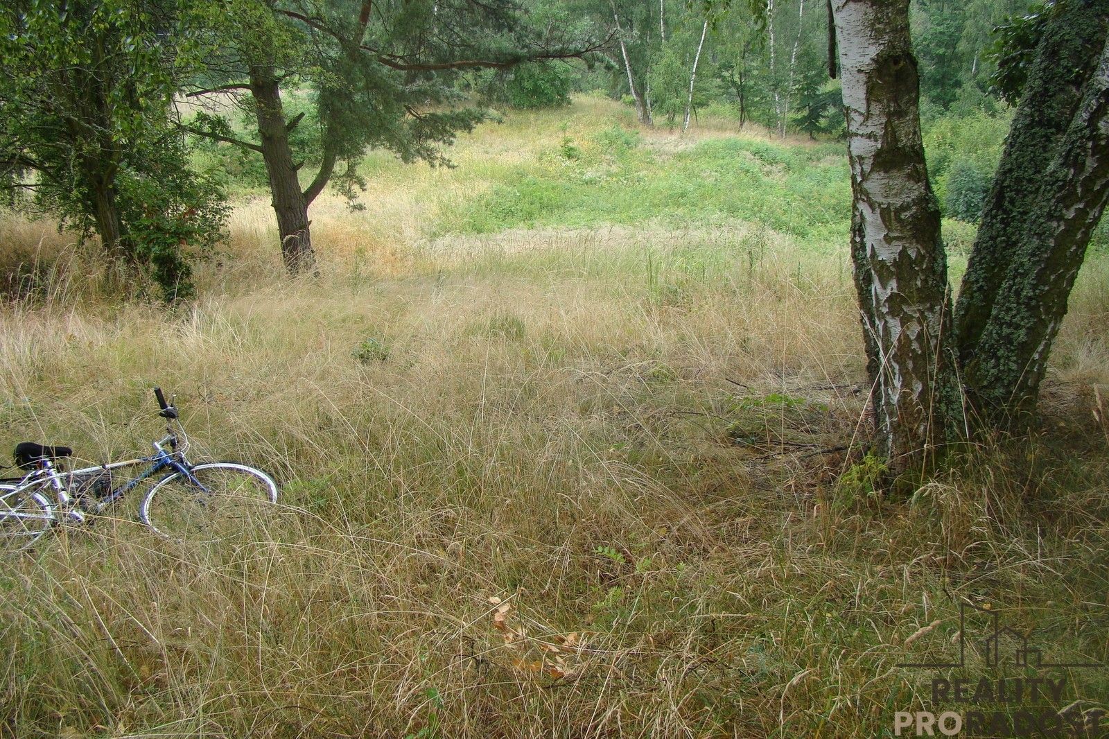 Zahrada · 2 000 m² · Krušovice - 4