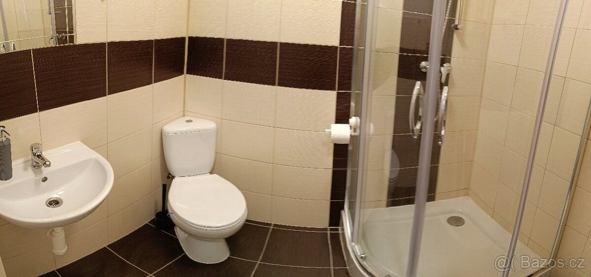 Pronájem byt - Fryčovice, 742 58