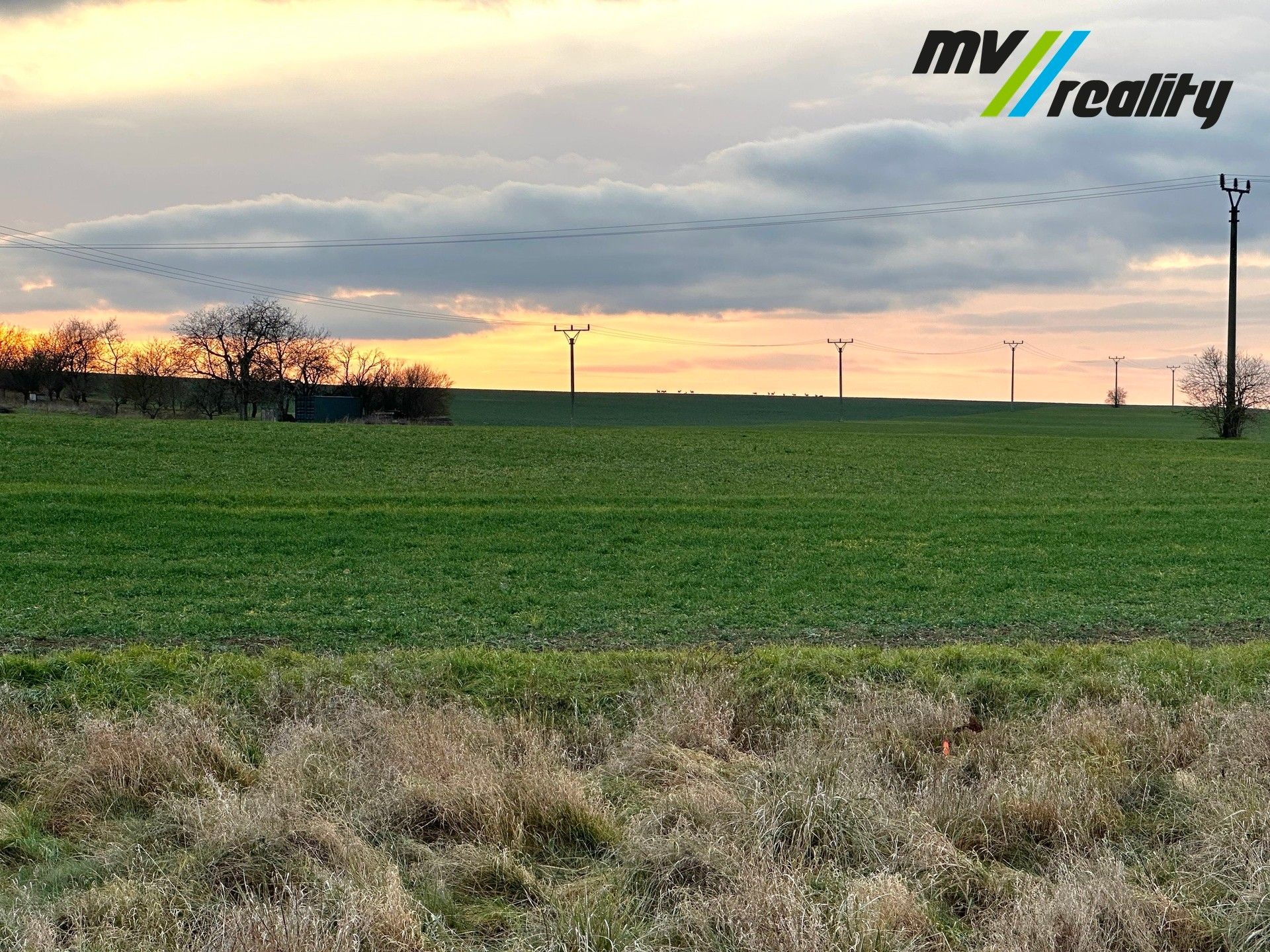 Prodej pozemek pro bydlení - Domoslavická, Ostroměř
