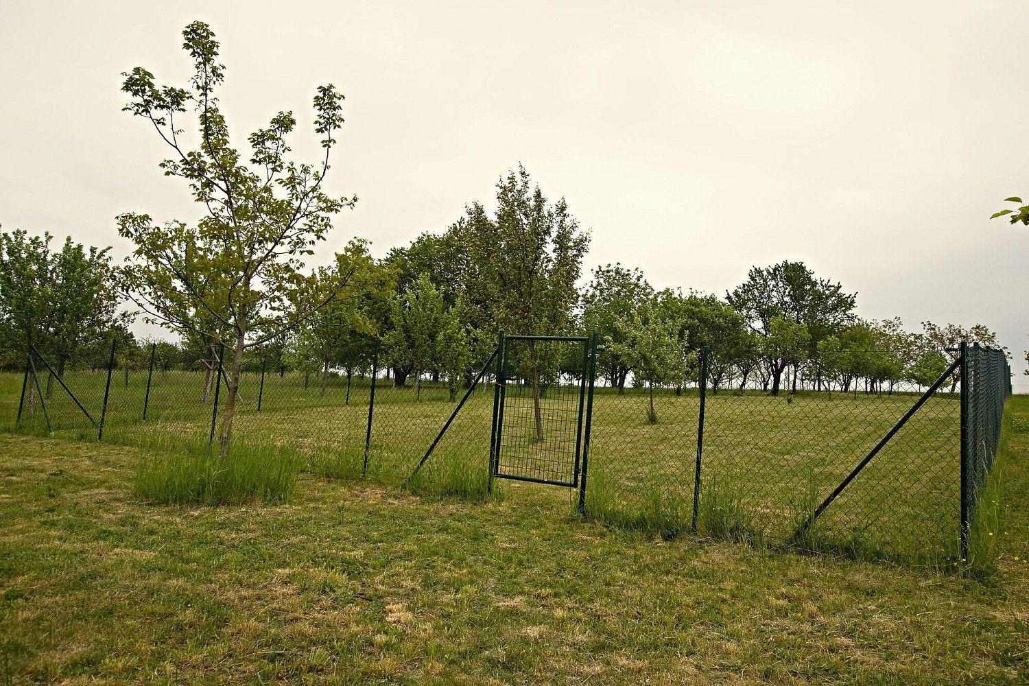 Zahrady, Kunovice, okres Uherské Hradiště, Zlínský kraj