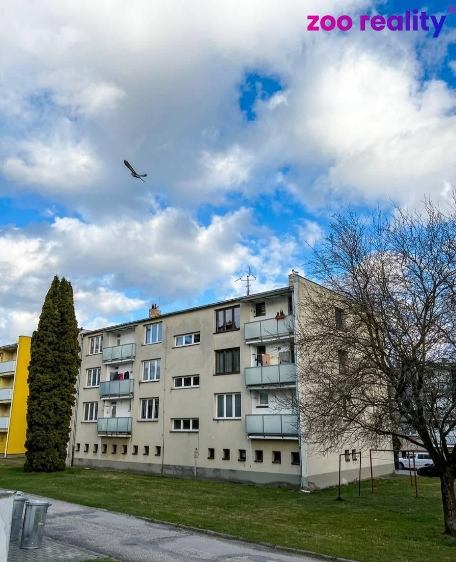 2+1, Trhové Sviny, 54 m² - 1