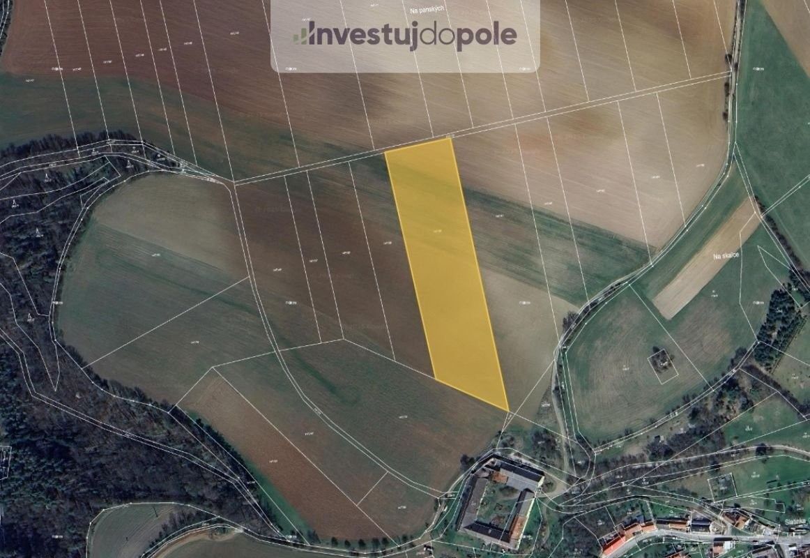 Prodej zemědělský pozemek - Letovice, 679 61, 12 248 m²