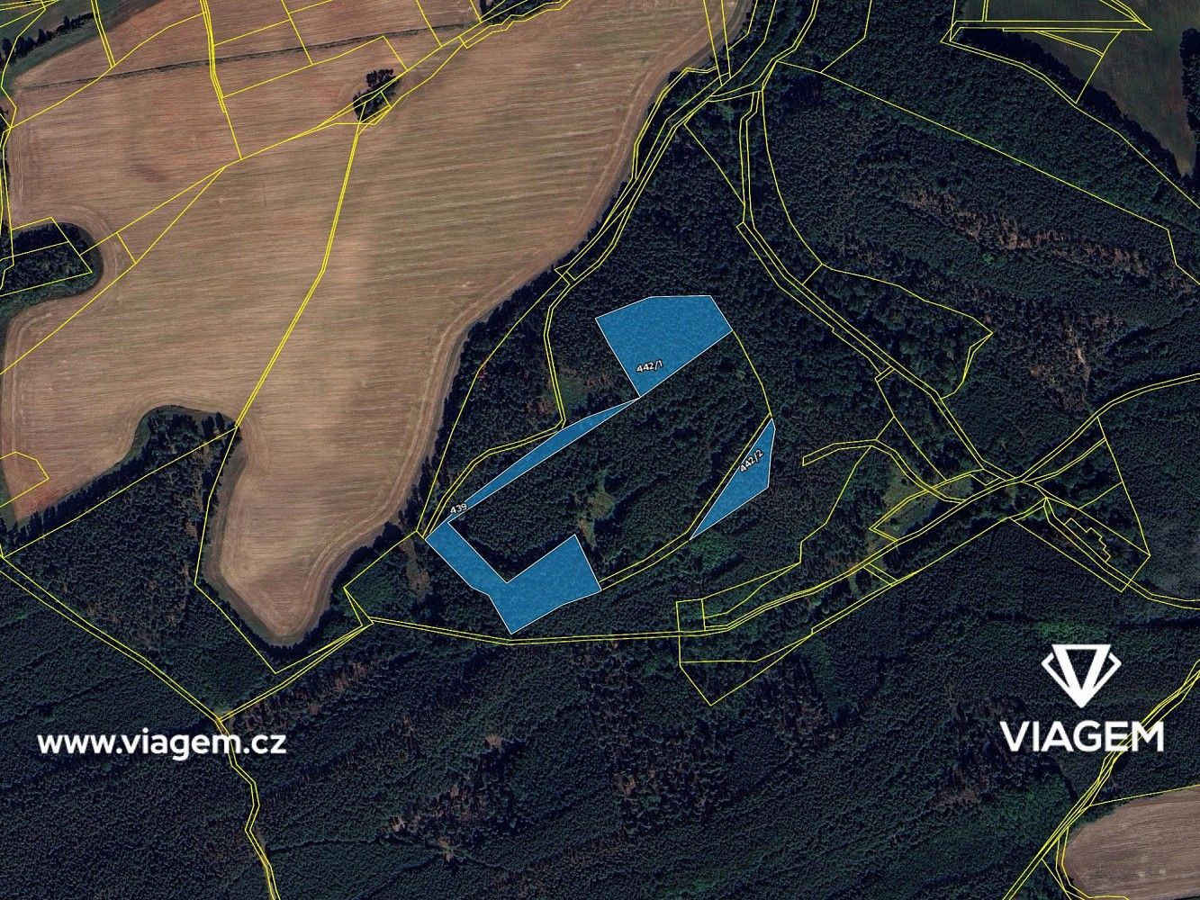 Les · Libovice, okres Kladno, Středočeský kraj - 4