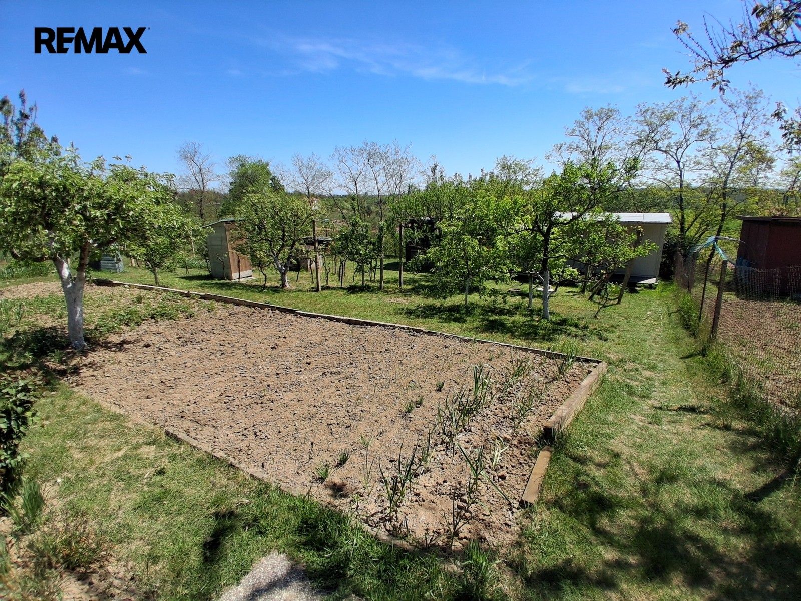 Zahrada · 579 m² · Dyje - 2