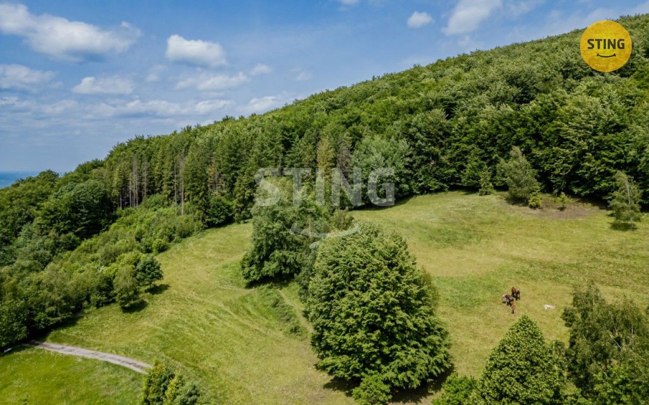Prodej pozemek pro bydlení - Bystřice, 22 090 m² - 5