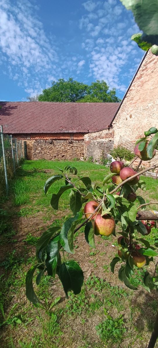 Pronájem rodinný dům - 10126, Mezouň - Mezouň, Středočeský kraj, 61 m² - 5