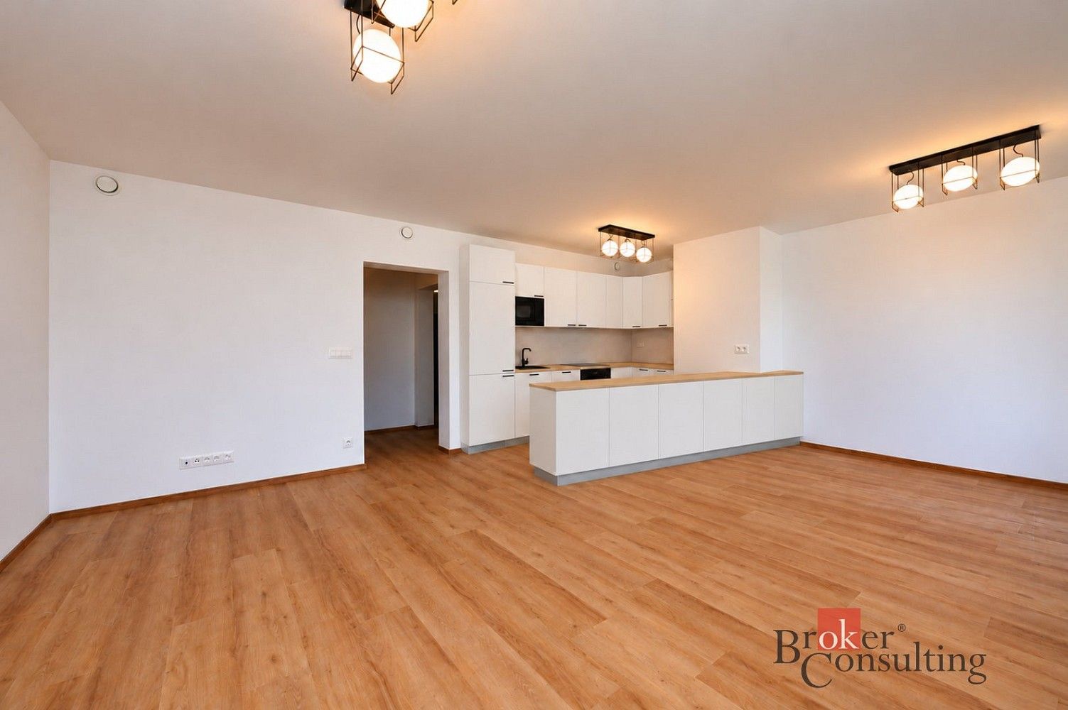 3+kk, Slovanská, Plzeň - Východní Předměstí, 99 m² - 1