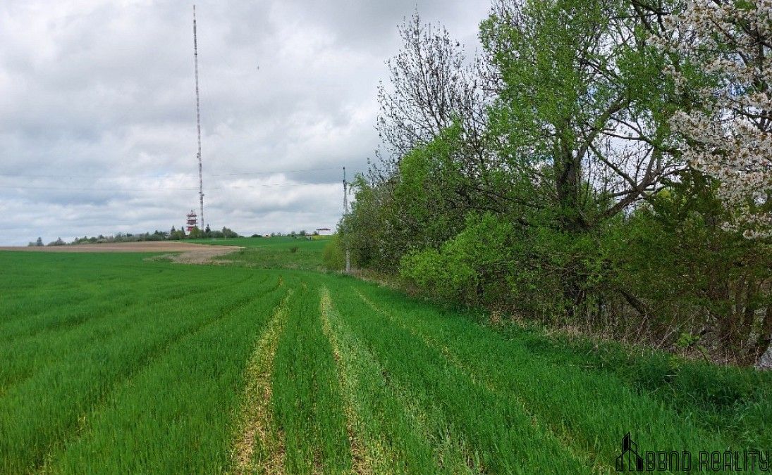 Rybník · Krásensko, okres Vyškov, Jihomoravský kraj - 4