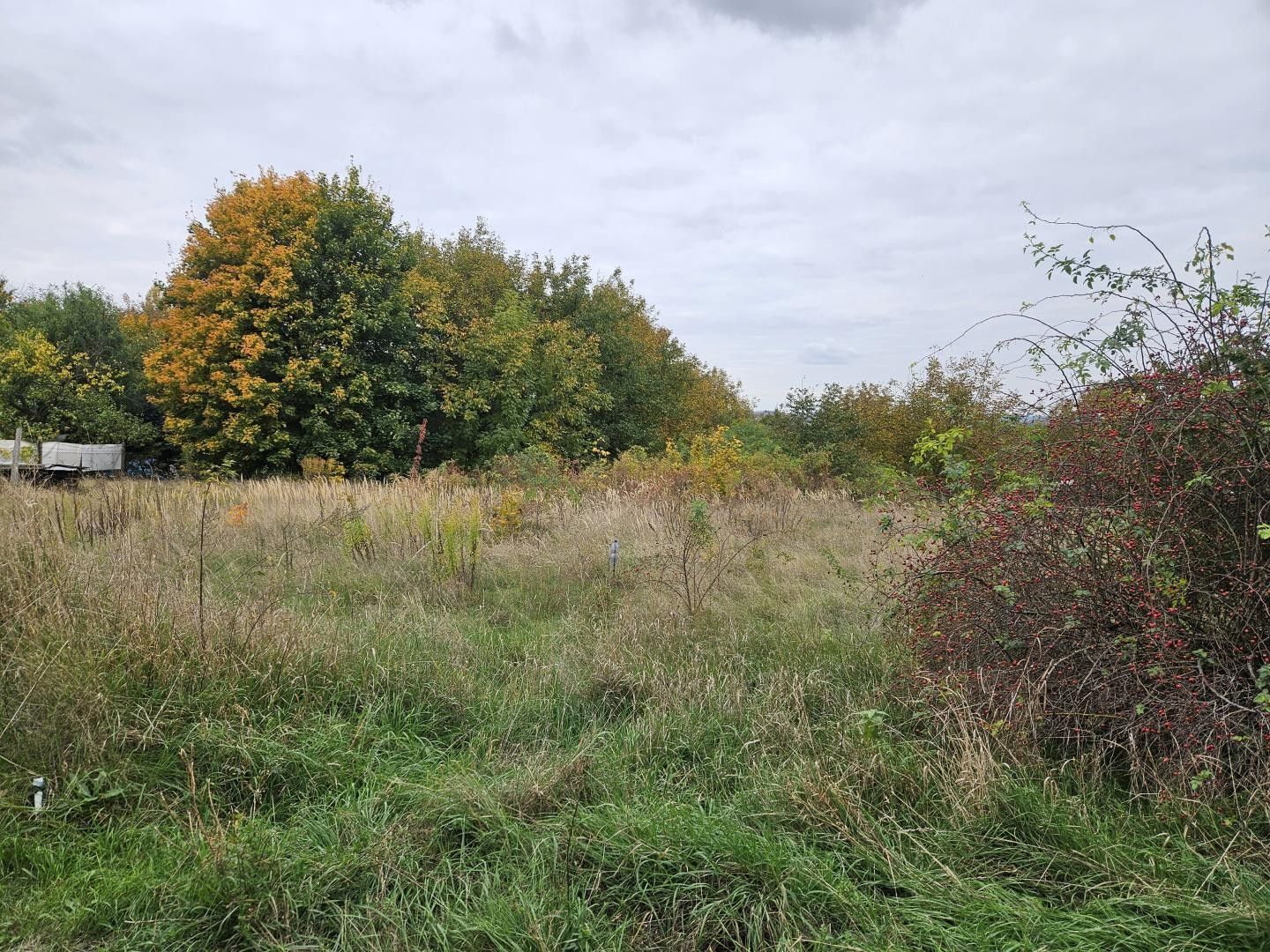 Prodej zahrada - Brněnské Ivanovice, Brno