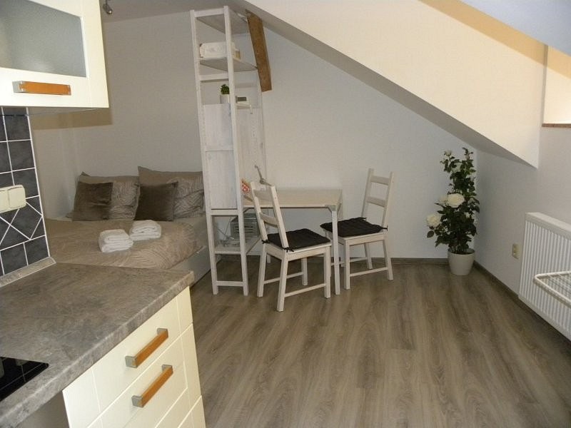 Pronájem byt 1+kk - Lazebnická, Jihlava, 24 m² - 5