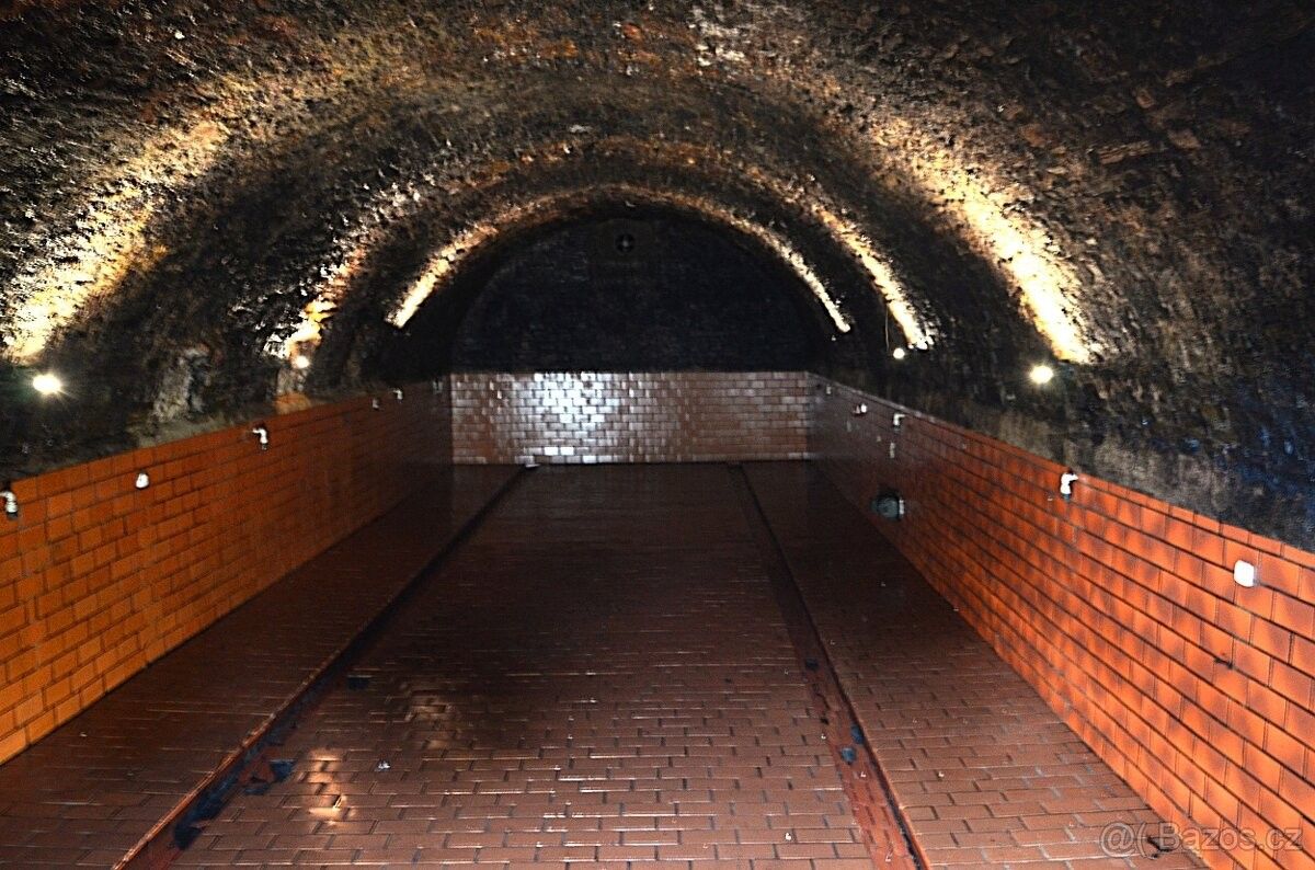 Prodej pozemek pro bydlení - Třebotov, 252 26