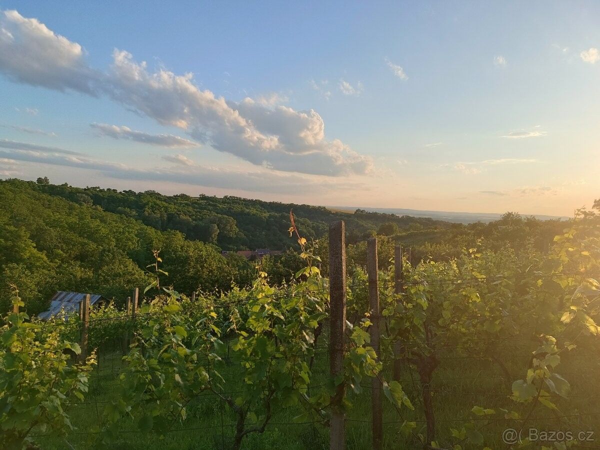 Prodej zahrada - Křepice u Hustopečí, 691 65