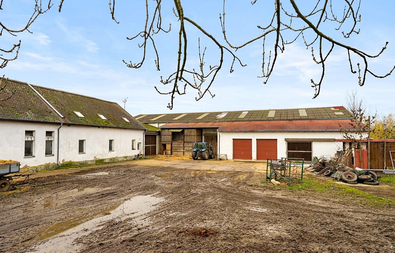 Prodej zemědělský objekt - Velké Chvojno - Luční Chvojno, okres Ústí nad Labem, Ústecký kraj, 1 241 m² - 5