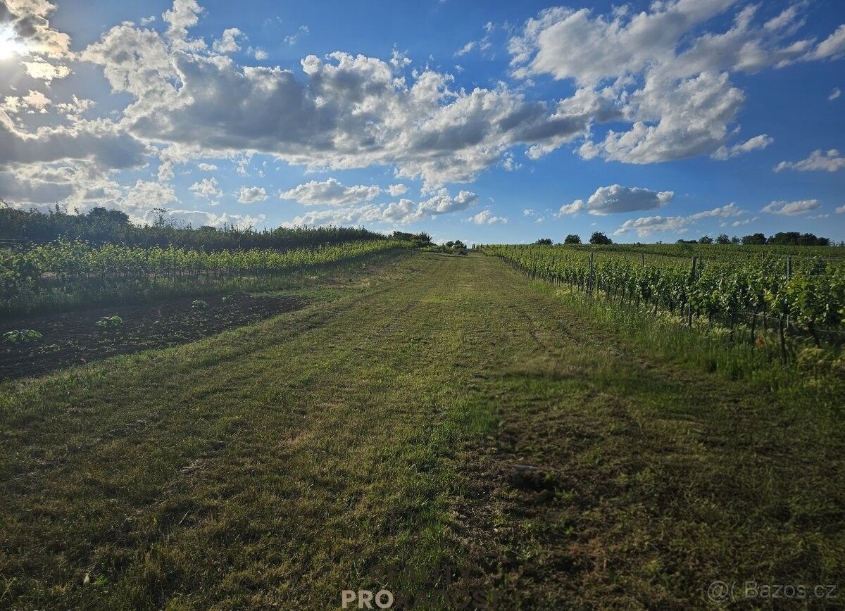 Pozemky pro bydlení, Starý Poddvorov, 696 16 - 1