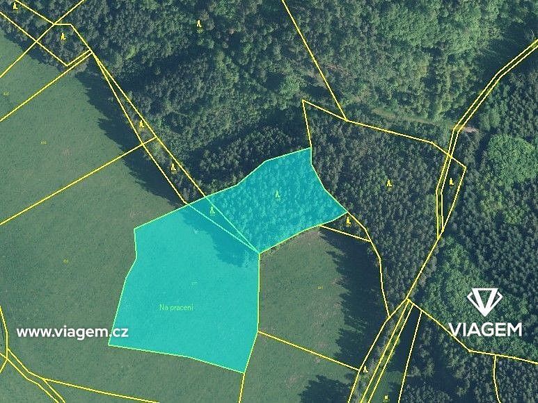 Les · Čestice, okres Strakonice, Jihočeský kraj - 3