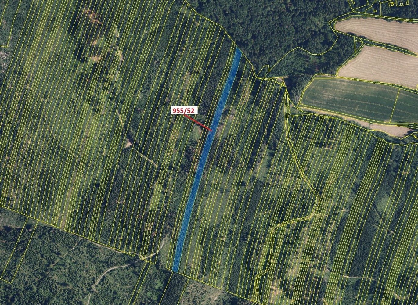 Lesy, Libina, okres Šumperk, Olomoucký kraj - 2