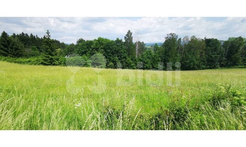 Prodej pozemek pro bydlení - Spálov, Semily