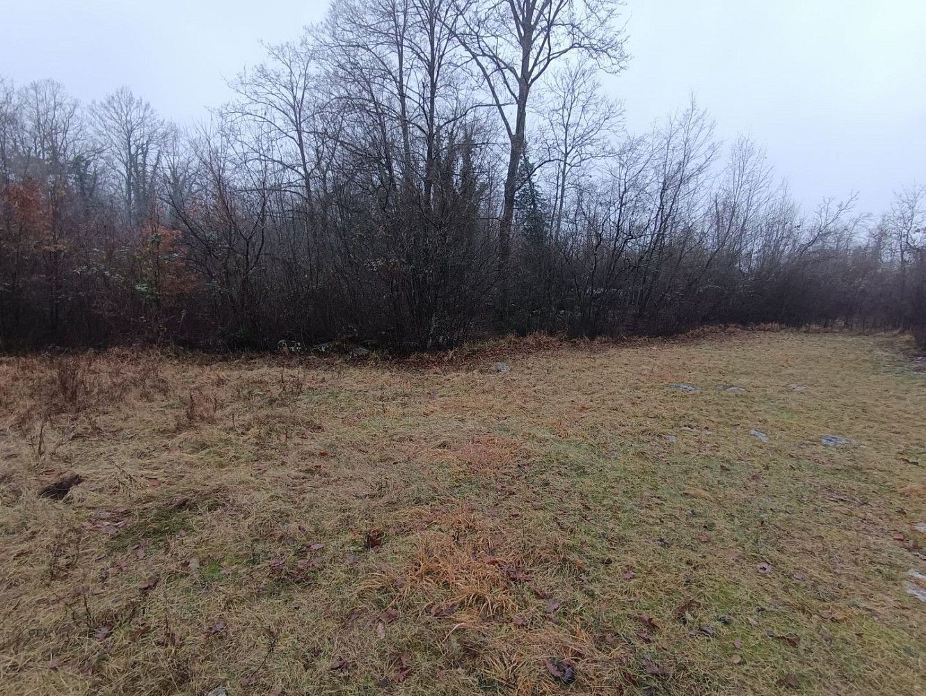 Pozemek pro bydlení, 5 578 m²