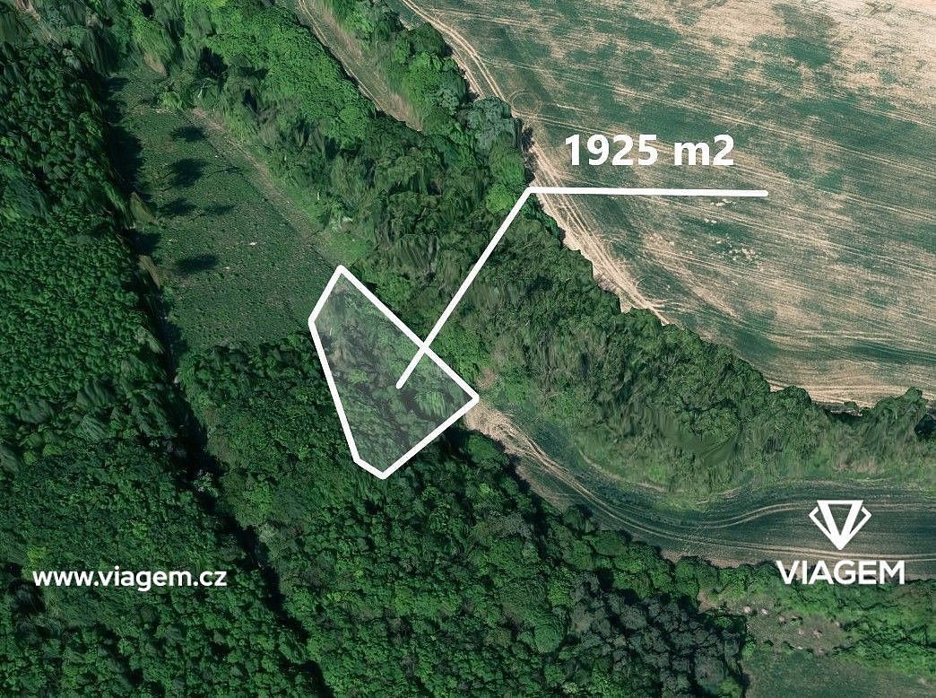 Prodej les - Kyjov, okres Hodonín, Jihomoravský kraj - 1