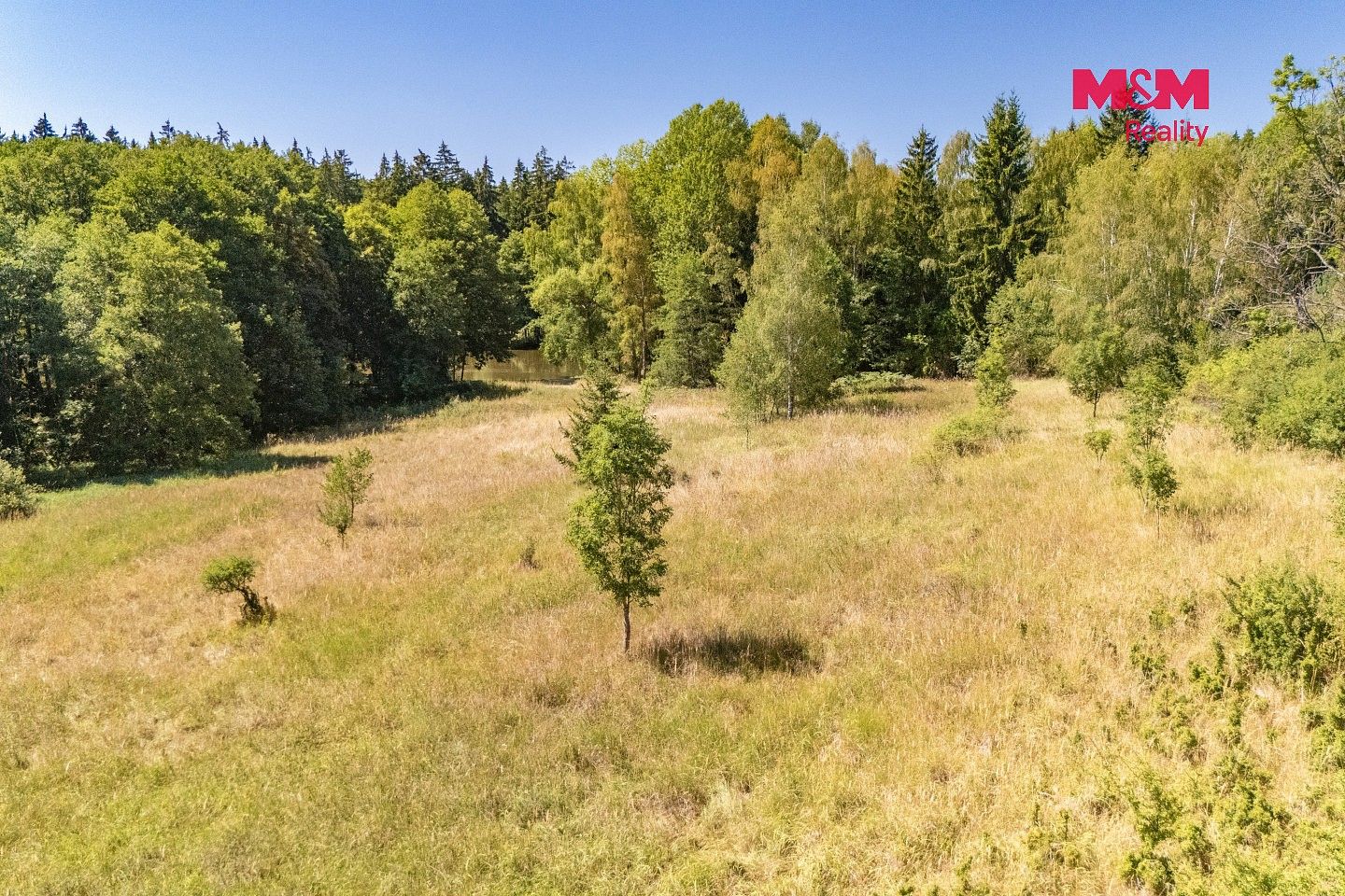 Louka · Bezdružice - Řešín, okres Tachov - 4