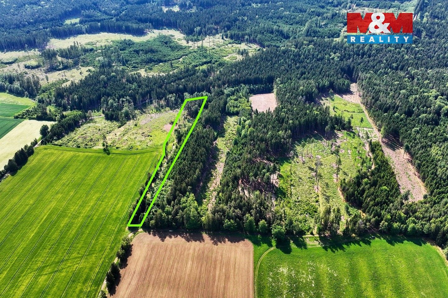 Les · Moraveč, okres Pelhřimov, Kraj Vysočina - 3