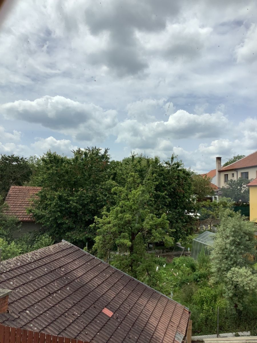 1+1, Deblín - Deblín, Jihomoravský kraj, 46 m² - 2