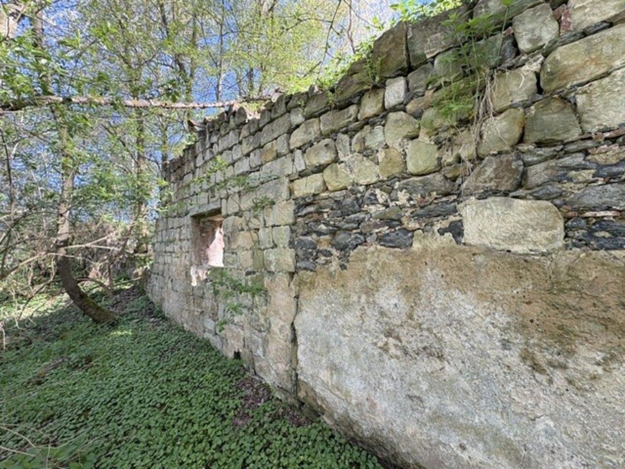 Pozemek · 7 898 m² · Úštěk Konojedy - 4