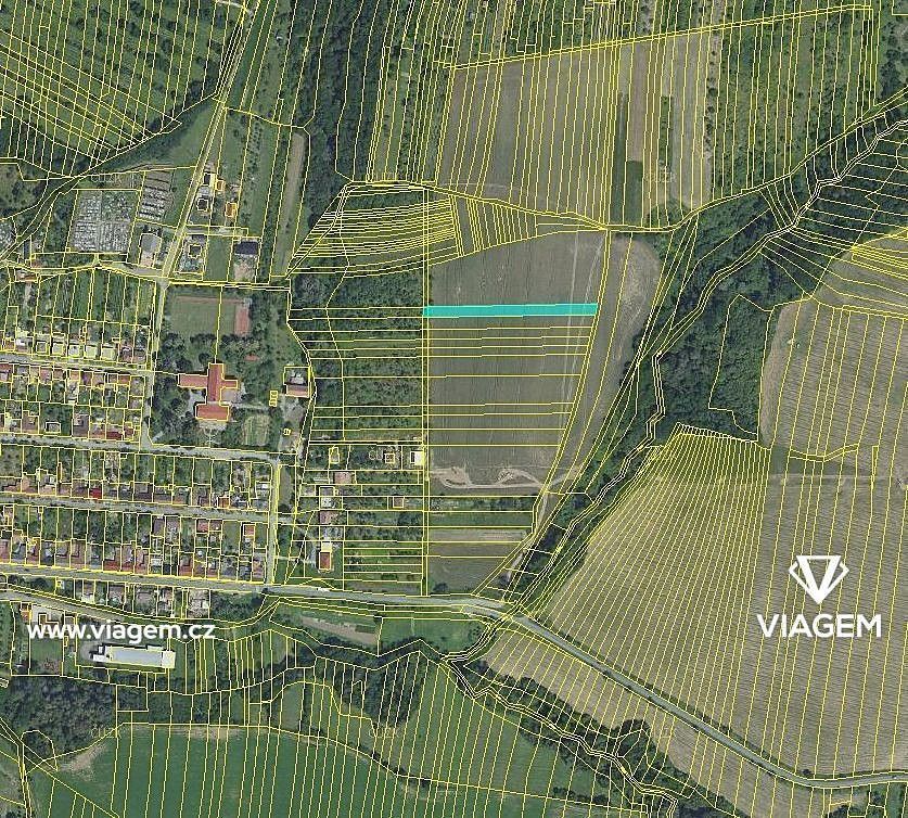 Prodej zemědělský pozemek - Osvětimany, okres Uherské Hradiště, Zlínský kraj - 2