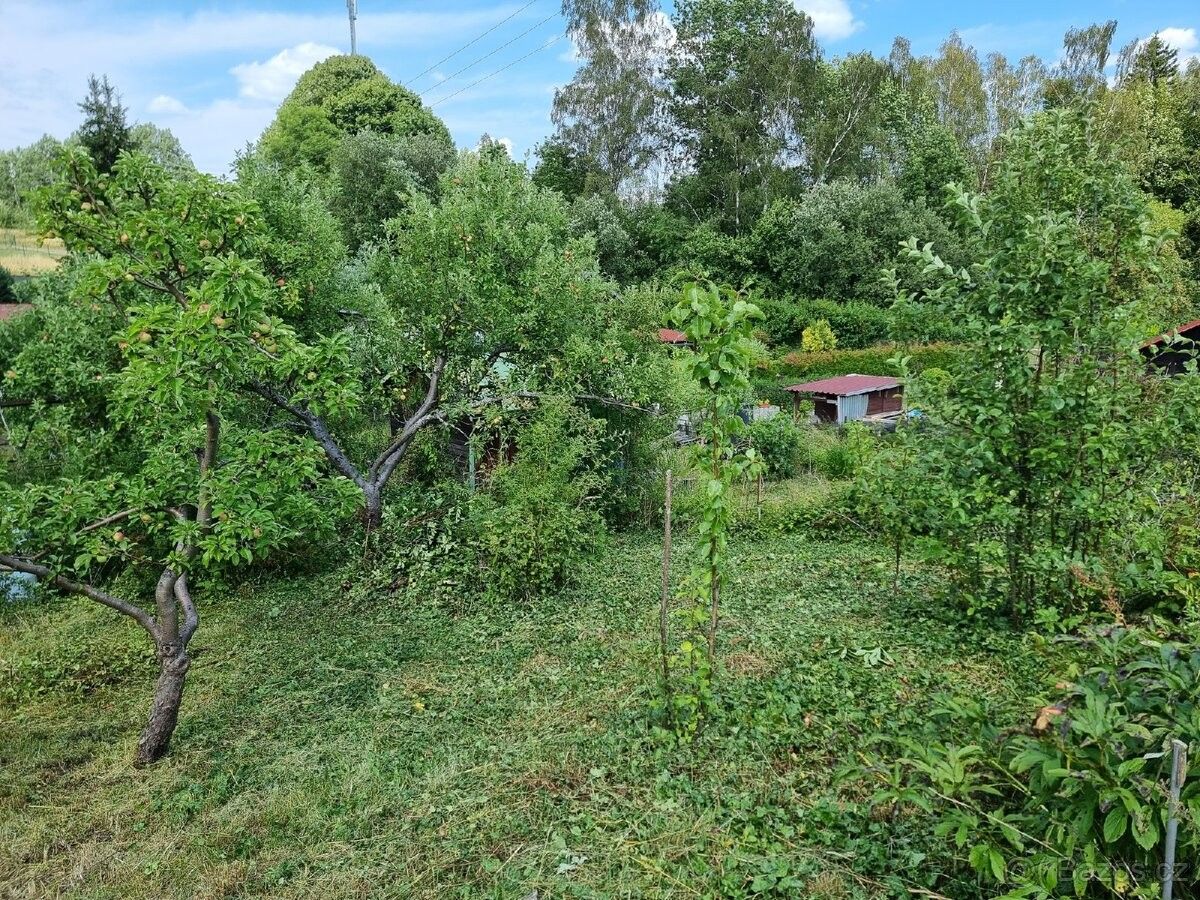 Prodej zahrada - Mariánské Lázně, 353 01 - 5
