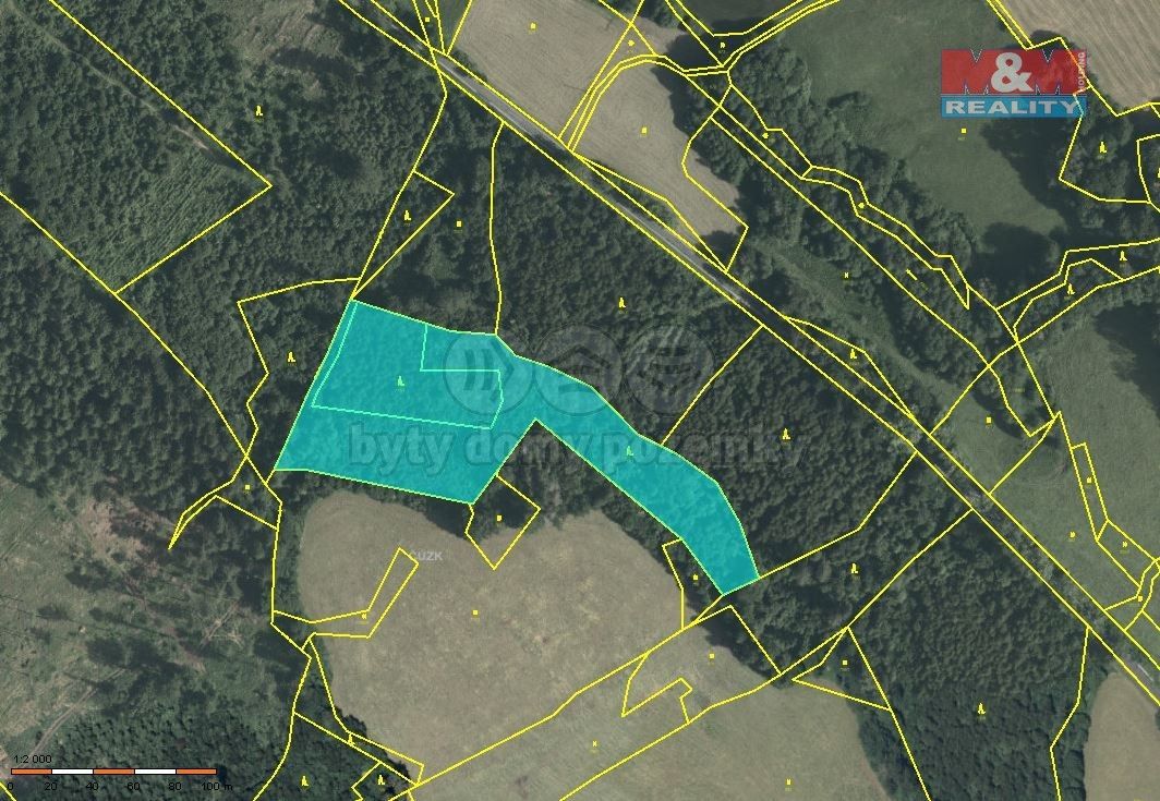 Prodej les - Zábřeh, 789 01, 12 134 m²