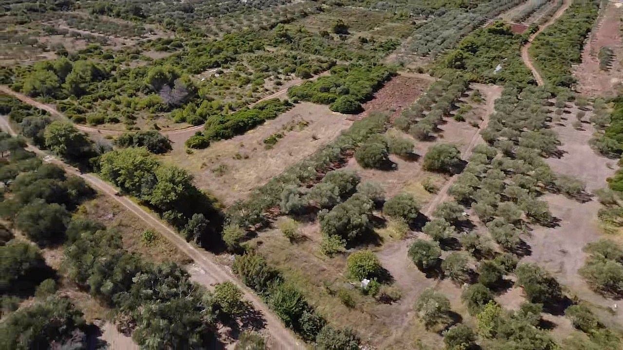 Pozemek pro bydlení · Sveti Filip I Jakov, HR - 3