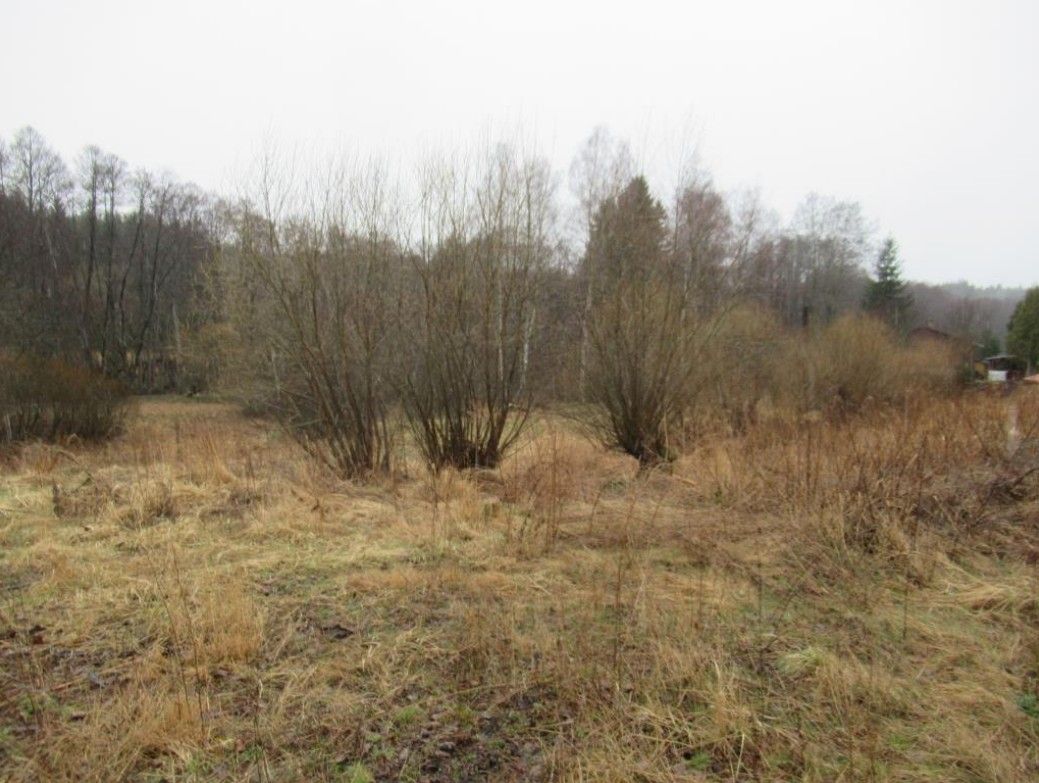 Pozemky pro bydlení, Bezdružice, 349 53