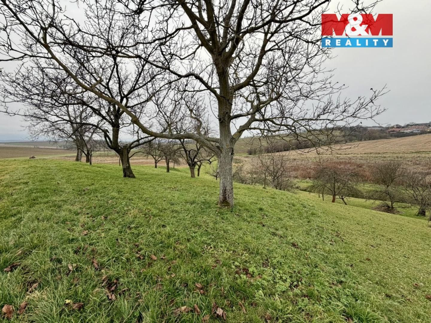 Prodej zahrada - Bezuchov