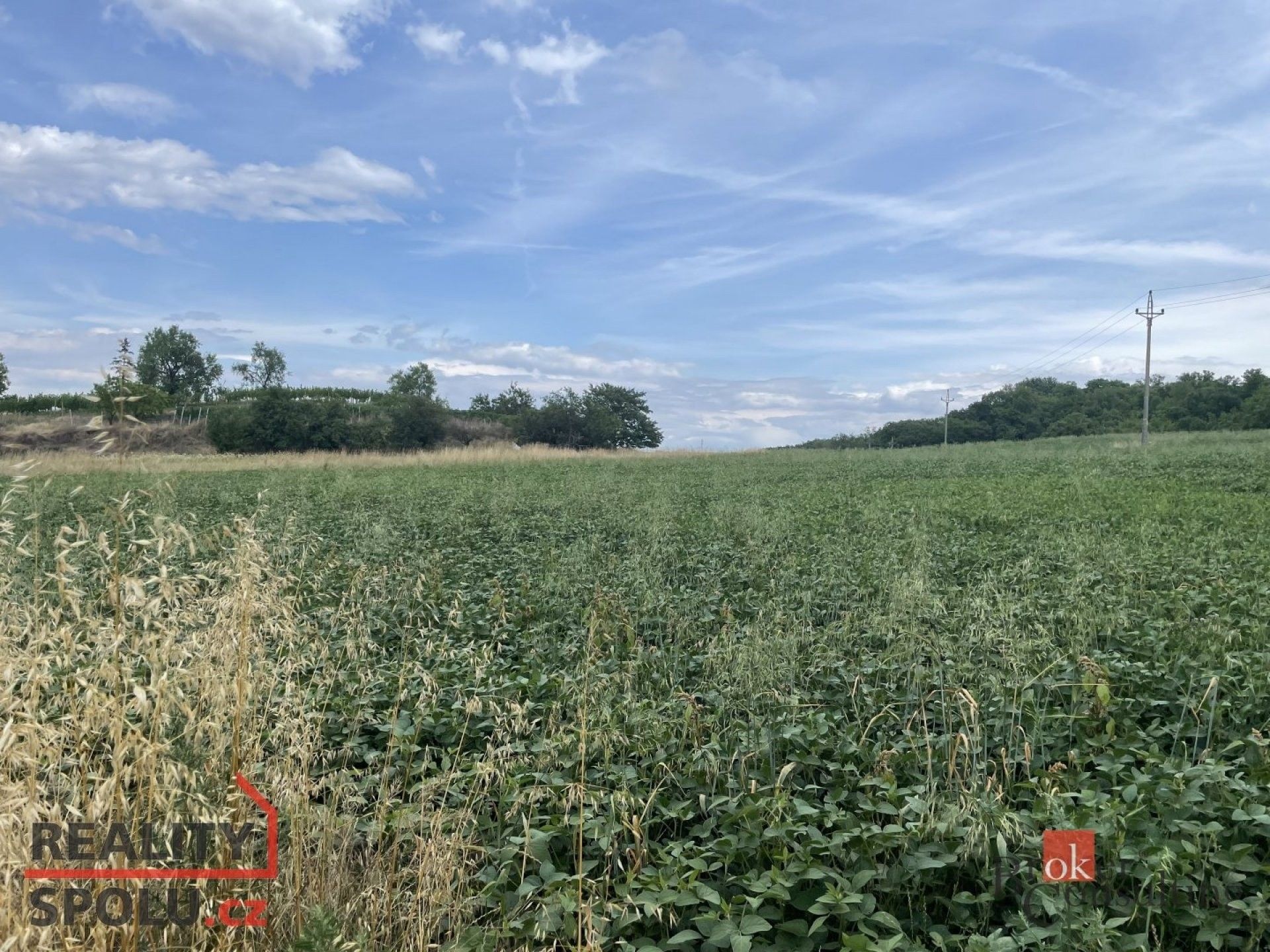 Pozemky pro bydlení, Hustopeče, 788 m²