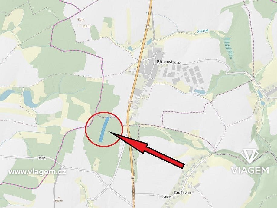 Les · Březová, okres Opava, Moravskoslezský kraj - 3