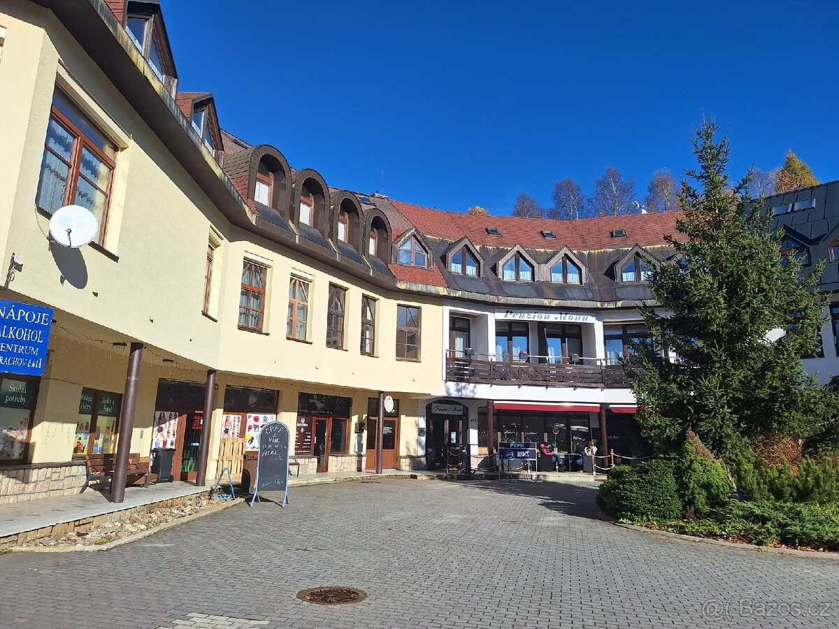 Byt · Harrachov v Krkonoších, 512 46 - 4