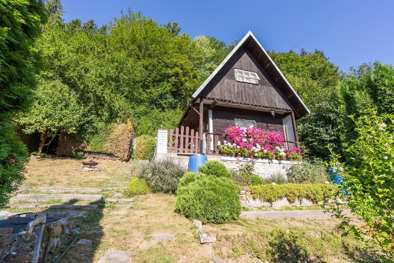Prodej zahrada - Hanušovice, okres Šumperk, Olomoucký kraj - 2