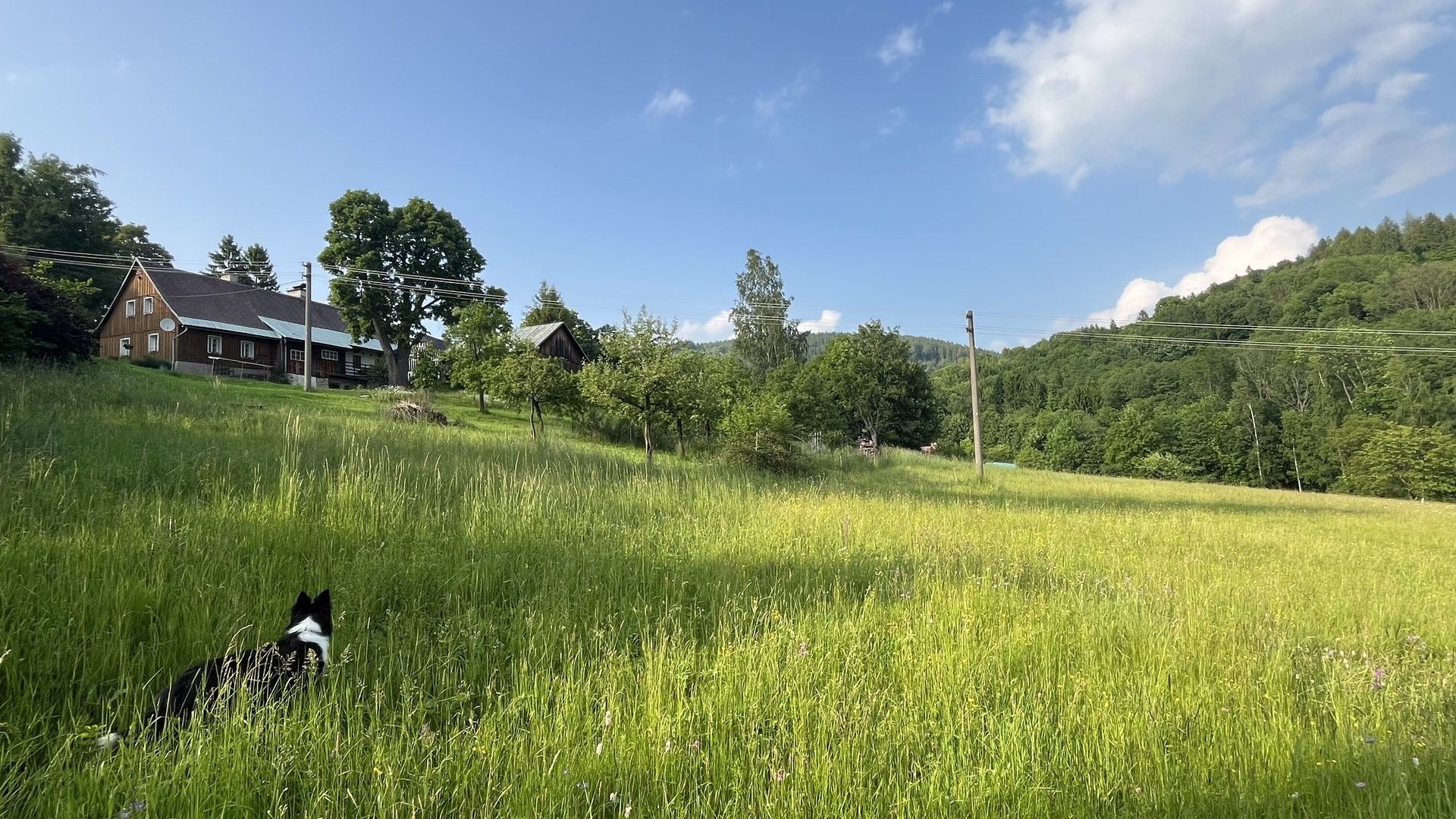 Pozemky pro bydlení, Zlatá Olešnice, 1 101 m²