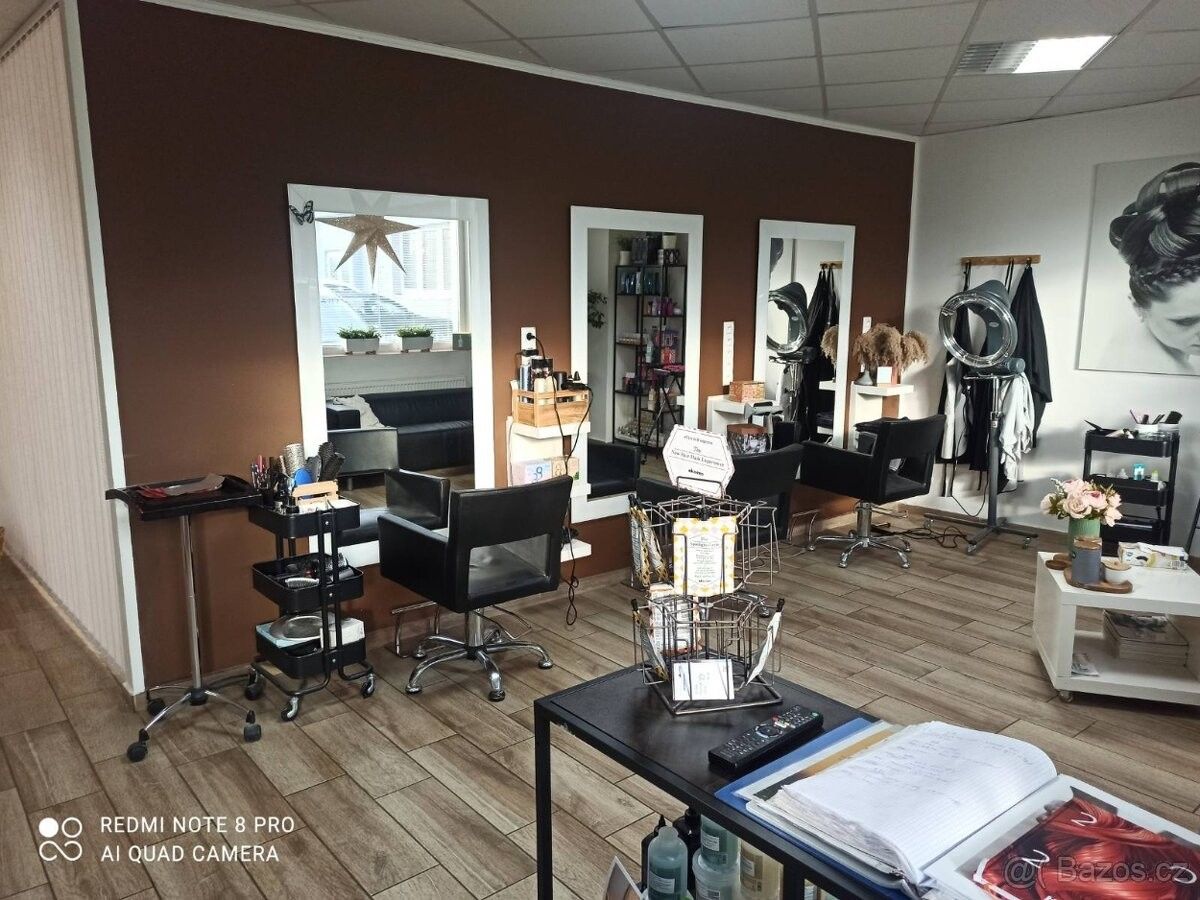 Pronájem ostatní - Sokolov, 356 01