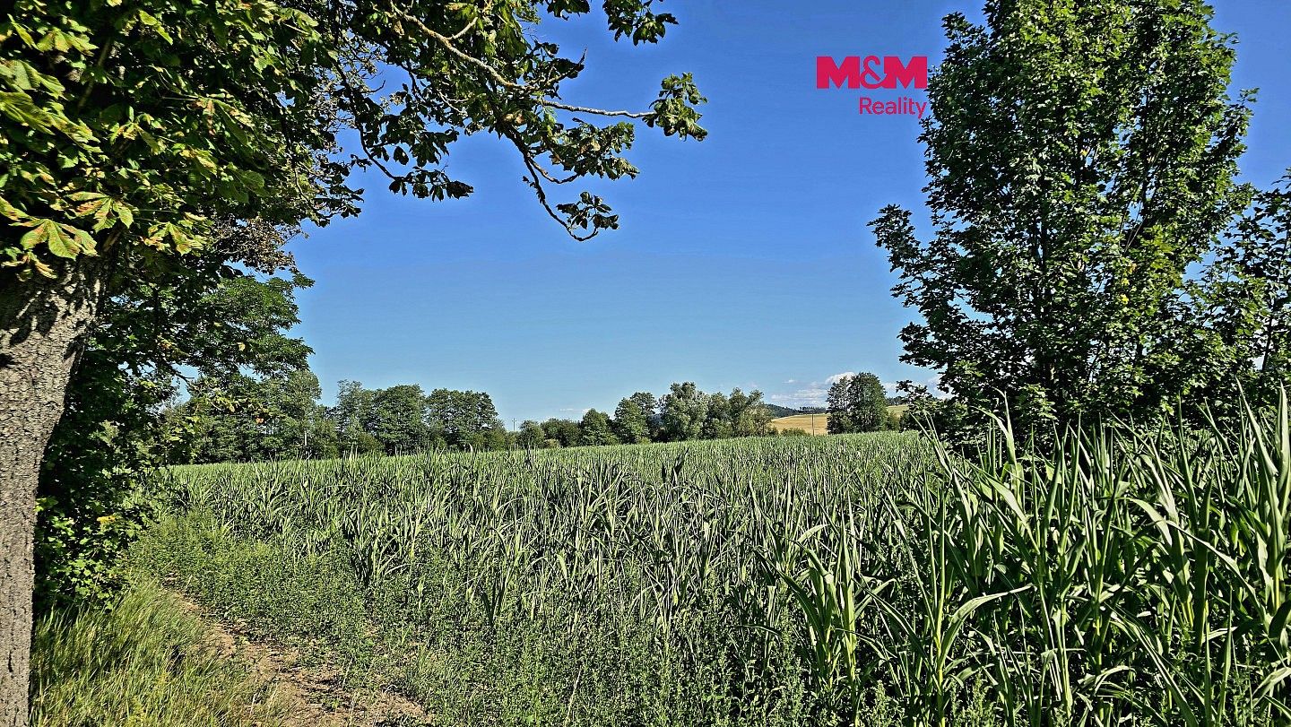 Zemědělský pozemek, 31 359 m²