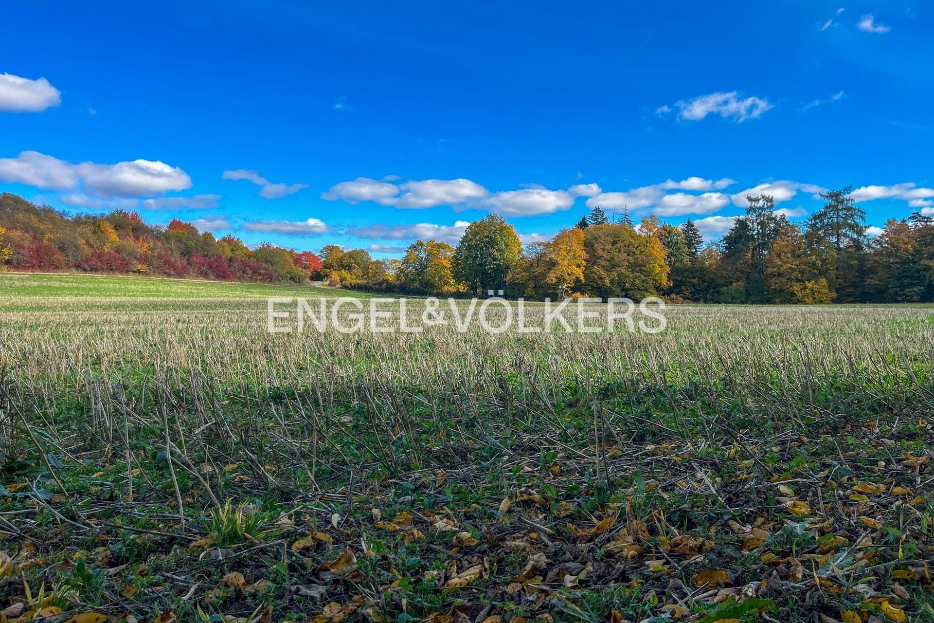 Prodej zemědělský pozemek - Uhlířská Lhota